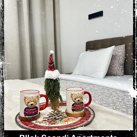 Bllok Scandi 2 Self -check-in Appartamento Tirana